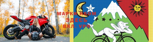 мдпв Арсеньев