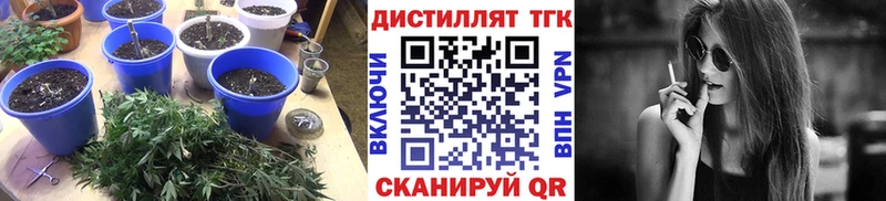закладки  Геленджик  mega зеркало  Дистиллят ТГК концентрат 