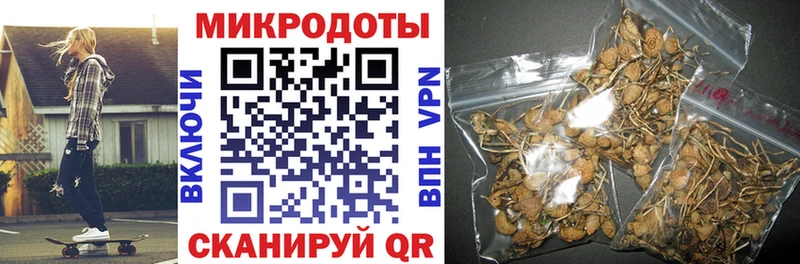 Псилоцибиновые грибы Psilocybe  где купить   Геленджик 