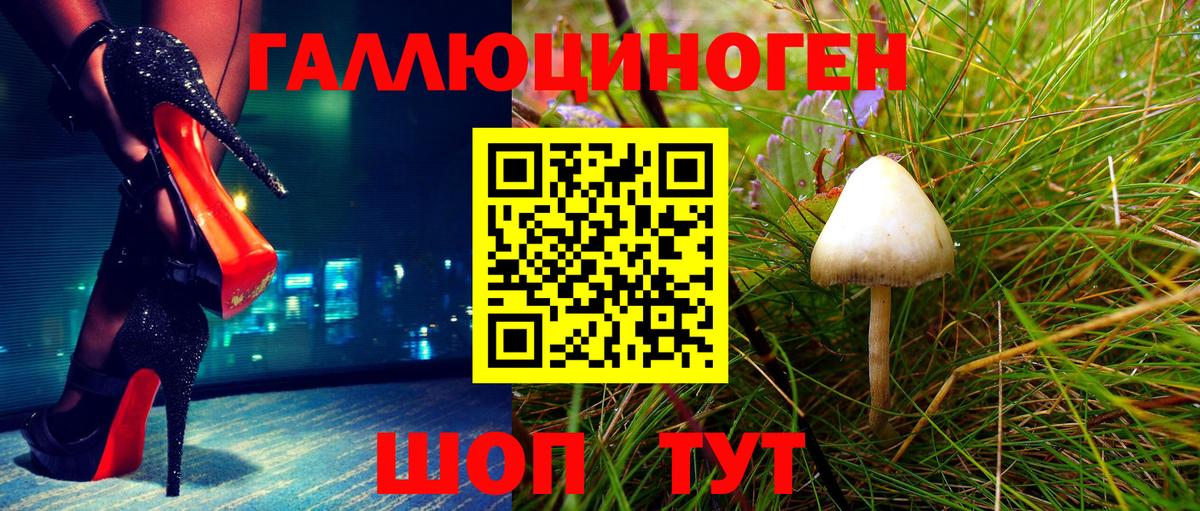 Псилоцибиновые грибы прущие грибы  Вход с VPN  Геленджик 