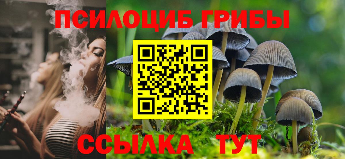 Галлюциногенные грибы Psilocybine cubensis Геленджик
